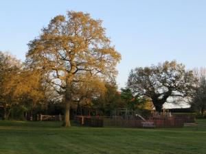 Recreation ground