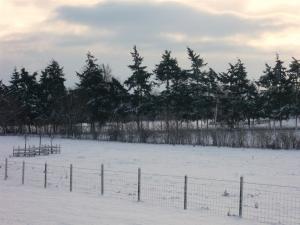 Carlton Park in the snow