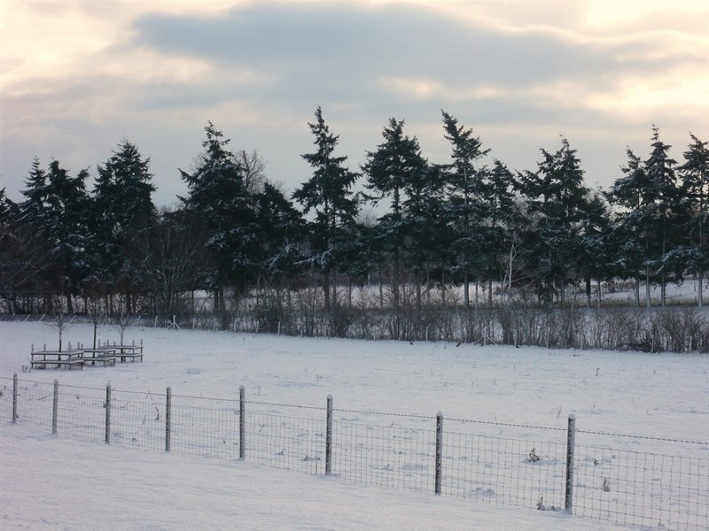 Carlton Park in the snow