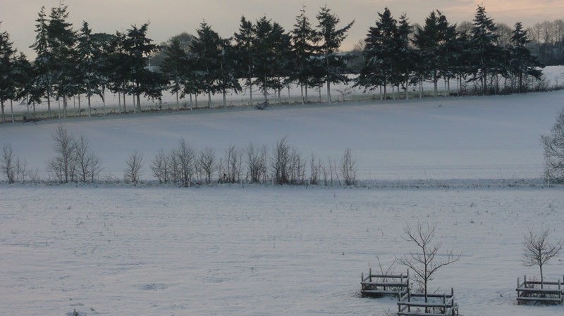 Carlton Park in the snow