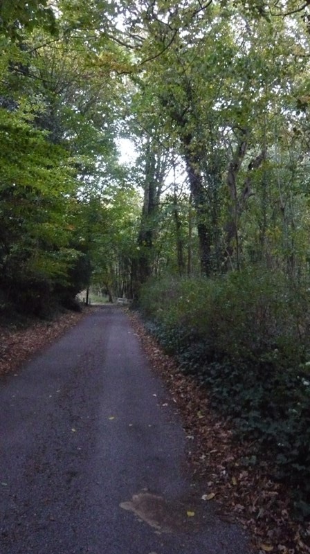 A quiet Kelsale country lane
