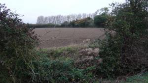 Rolling fields around Kelsale