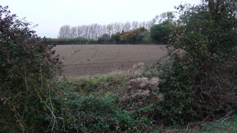 Rolling fields around Kelsale