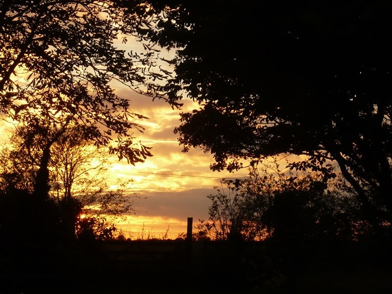 Sunset through the trees at Kelsale cum Carlton